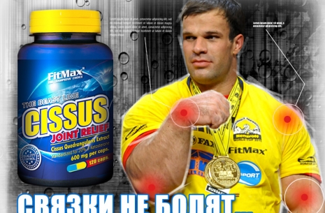 CISSUS - FITMAX # Aрмспорт # Armsport # Armpower.net