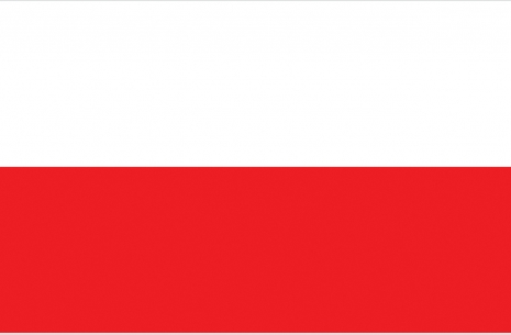 Чемпионат Мира 2013 - команда Польша # Aрмспорт # Armsport # Armpower.net