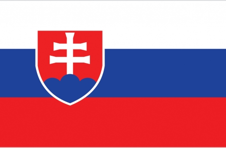 Чемпионат Мира 2013 - команда Словакия # Aрмспорт # Armsport # Armpower.net