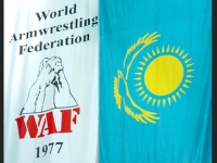 Чемпионат Мира WAF 2011 – успех хозяев, поражение WAF! # Aрмспорт # Armsport # Armpower.net